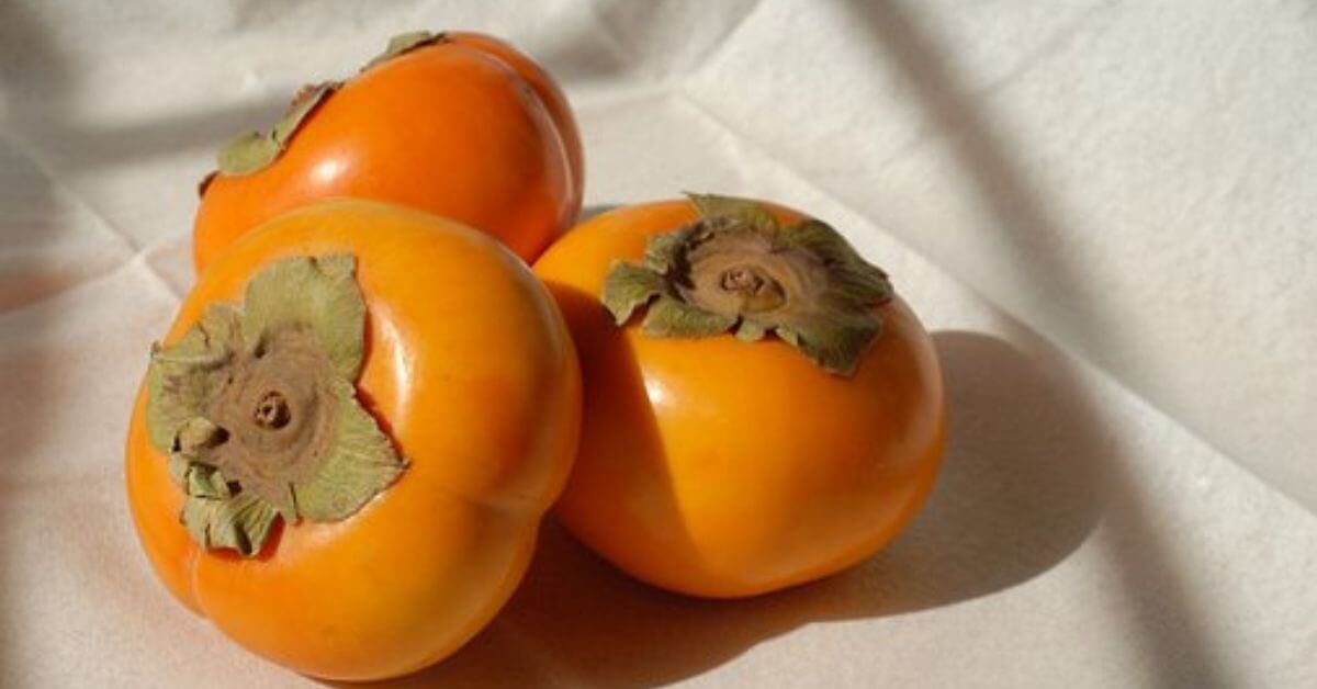 What Are The Benefits Of Eating Persimmon?