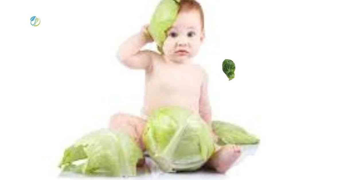 Can babies eat cabbage